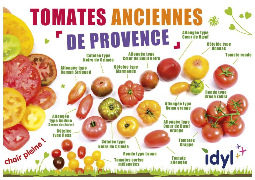 Idyl : Les tomates anciennes à l'honneur