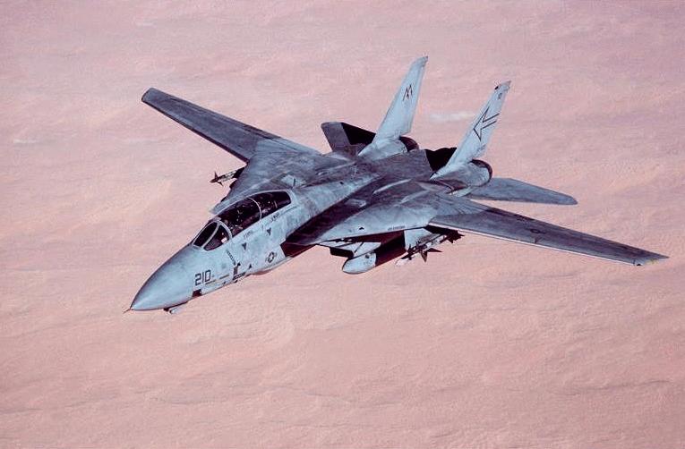 f-14-dvic223.jpg