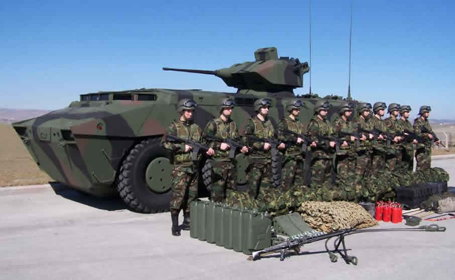 pars_8x81.jpg
