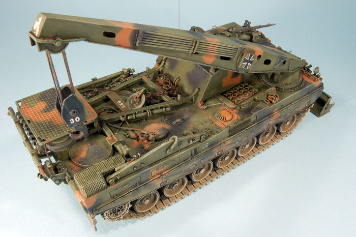 buffel3im_1.jpg