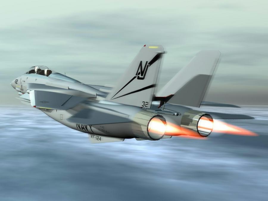 navy_f14_d_tomcat.jpg