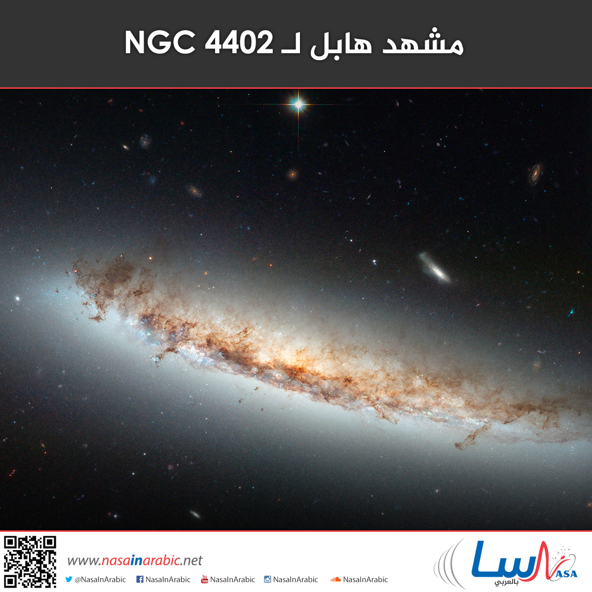 939e2cd1ca9fcee9fe29bccb7094bf2a.jpg