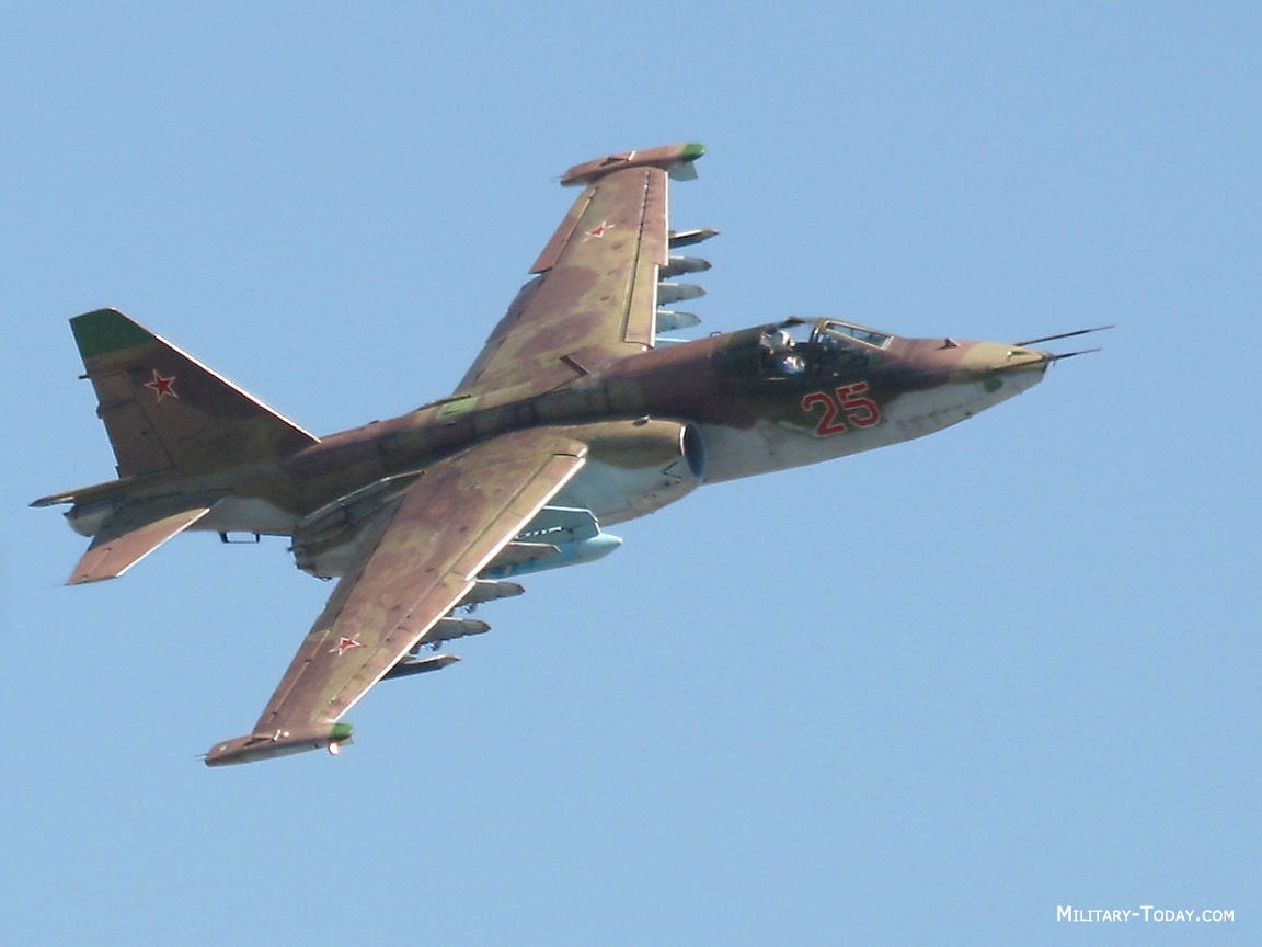 sukhoi_su25_frogfoot_l1.jpg