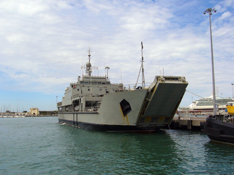 510.jpg