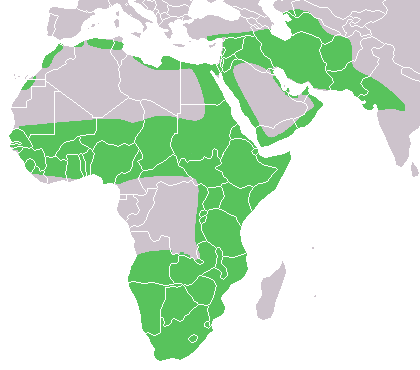 Caracal_distribution.png