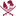 www.qcb.gov.qa