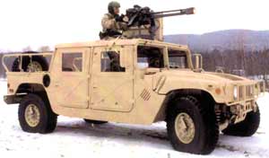 gau-19_puoiuoi.jpg