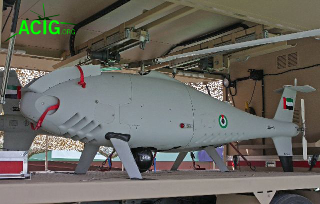 IDEX_UAE_CAMCOPTER.jpg