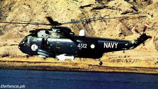 seaking_05.jpg