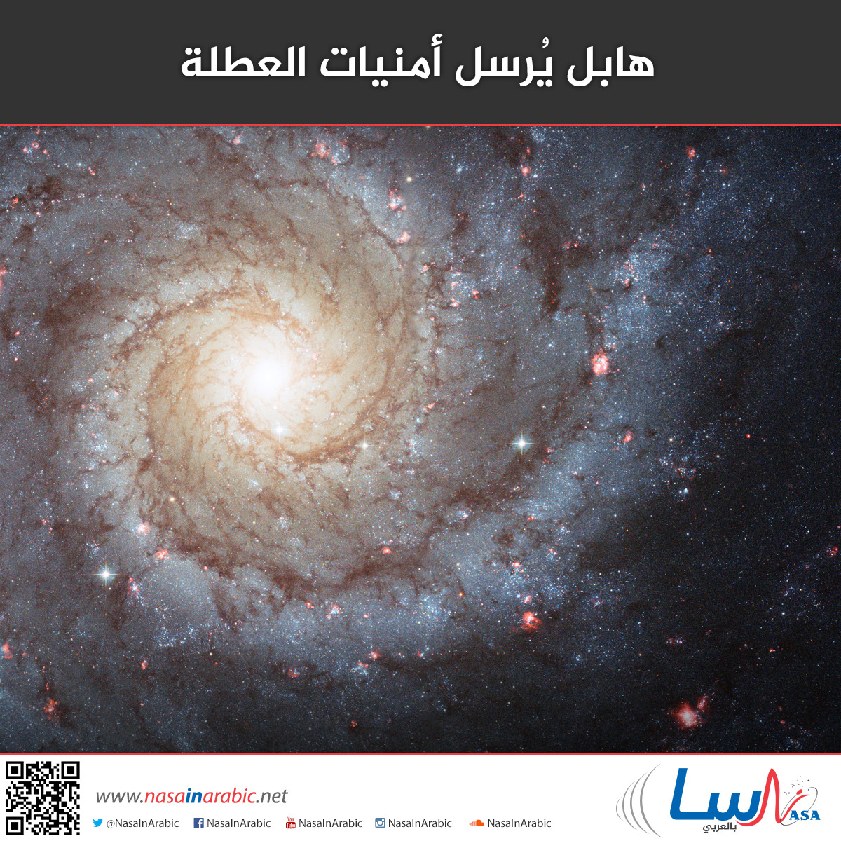 a38167583adf4f83822ef00575889cc1.jpg