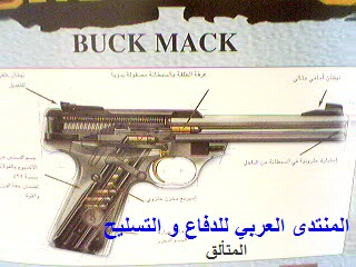 66294.jpg