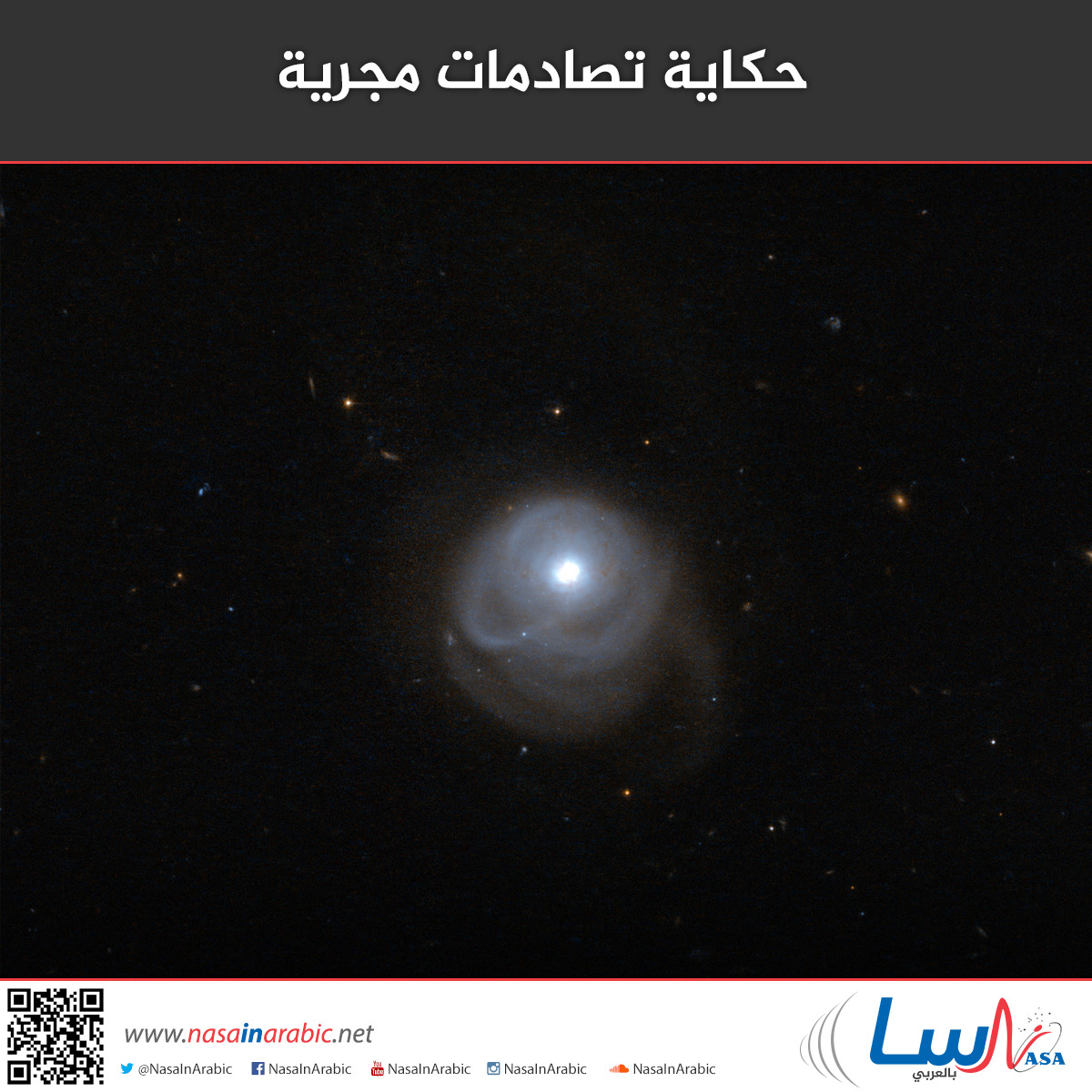 dc854736213dffe986098ae4fdbc98f2.jpg