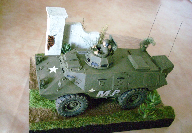 v10010.jpg
