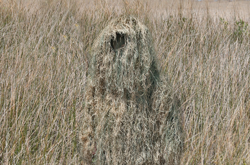 coastal-winter-grass-andGhillie.jpg