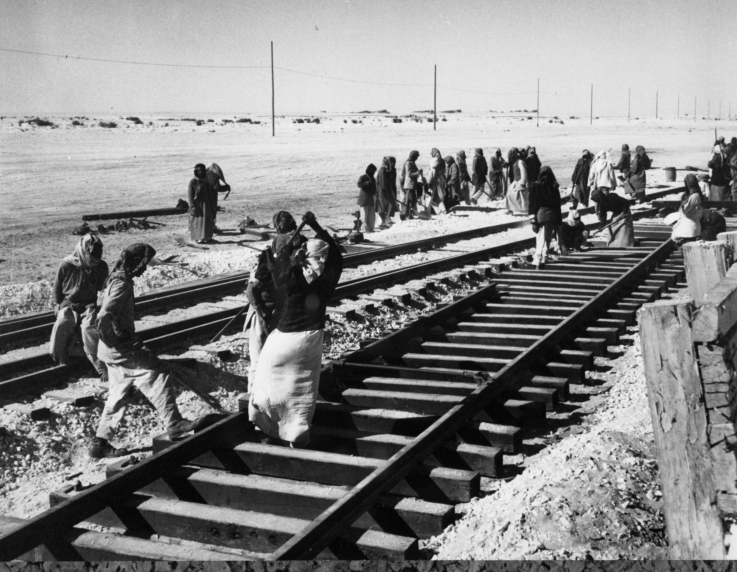 D_19892.jpg