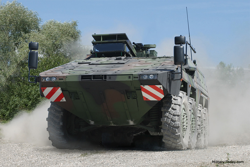 boxer_mrav_l1.jpg