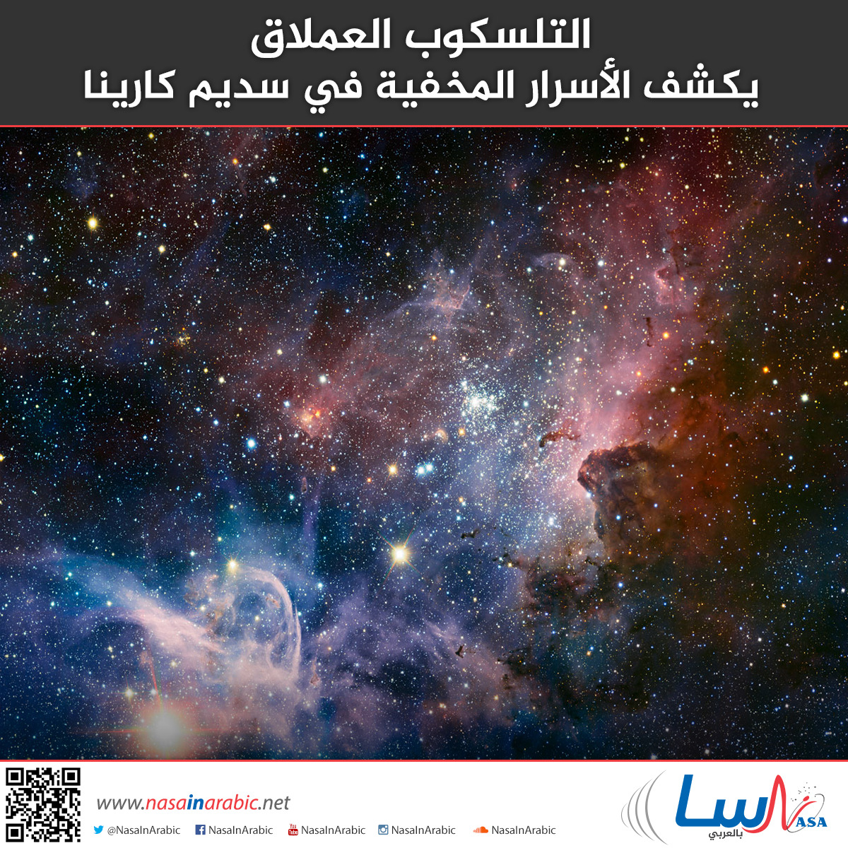 81c5975edb47987f9b5c64165e1cddfa.jpg