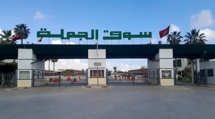 ar.tunisienumerique.com