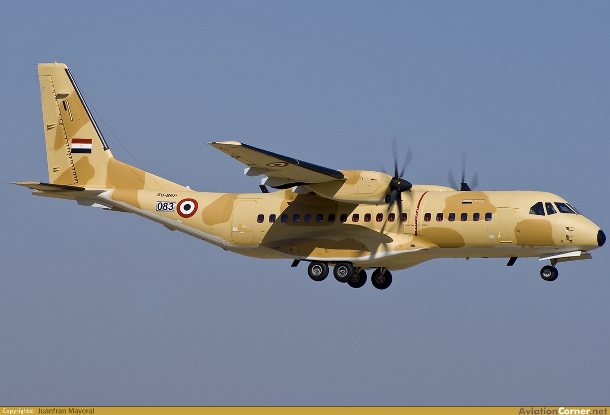 avc_00229341.jpg