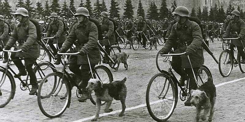 anti-tank-dog.jpg