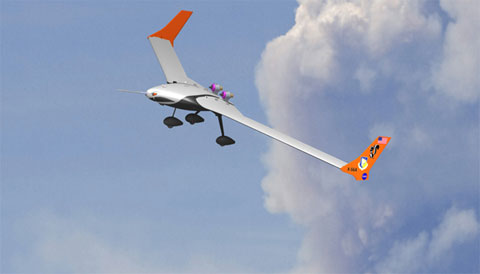 120215flutter.jpg