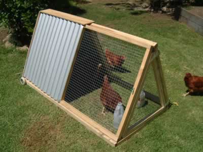 tri-chicken-coop.jpg