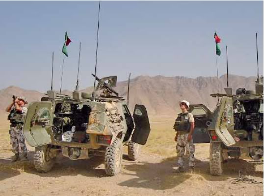 TACP1.jpg