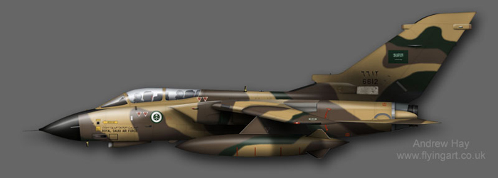 Tornado_IDS%20RSAF%206612%20CAG.jpg