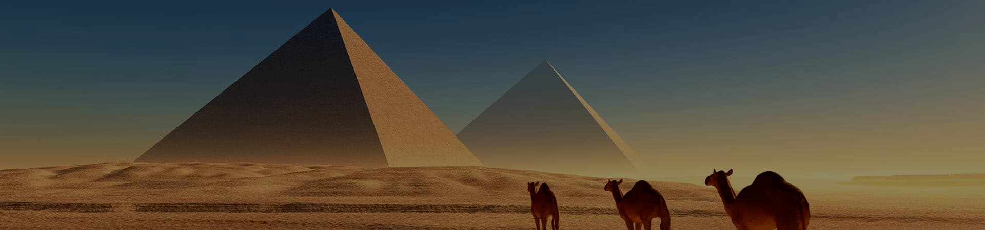 www.visasegypt.com