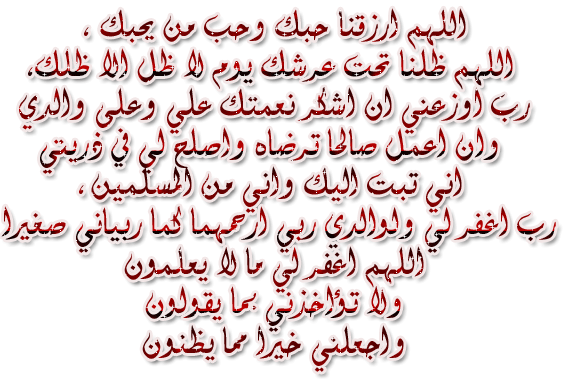025.gif