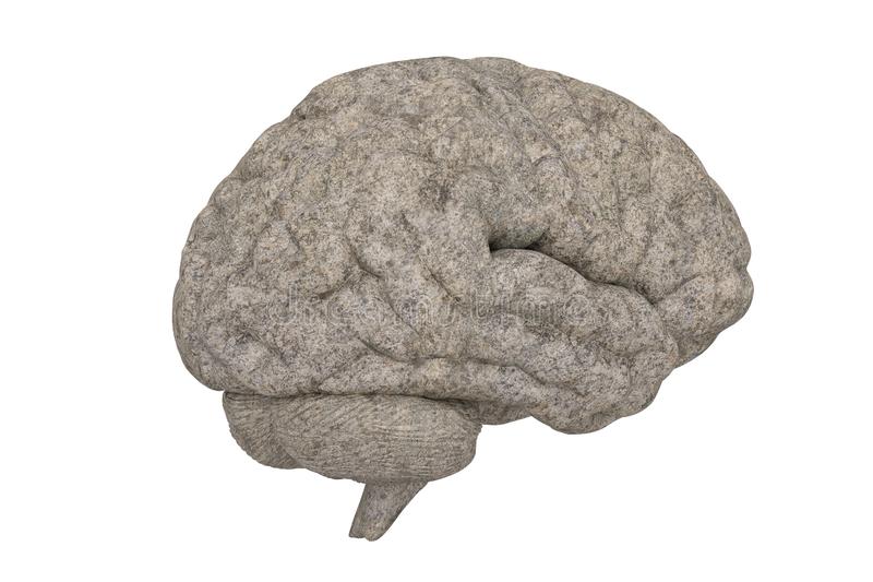 stone-brain-isolated-white-background-d-illustration-157171959.jpg