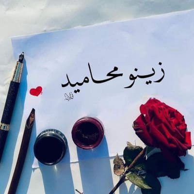 www.zenomhamid.com