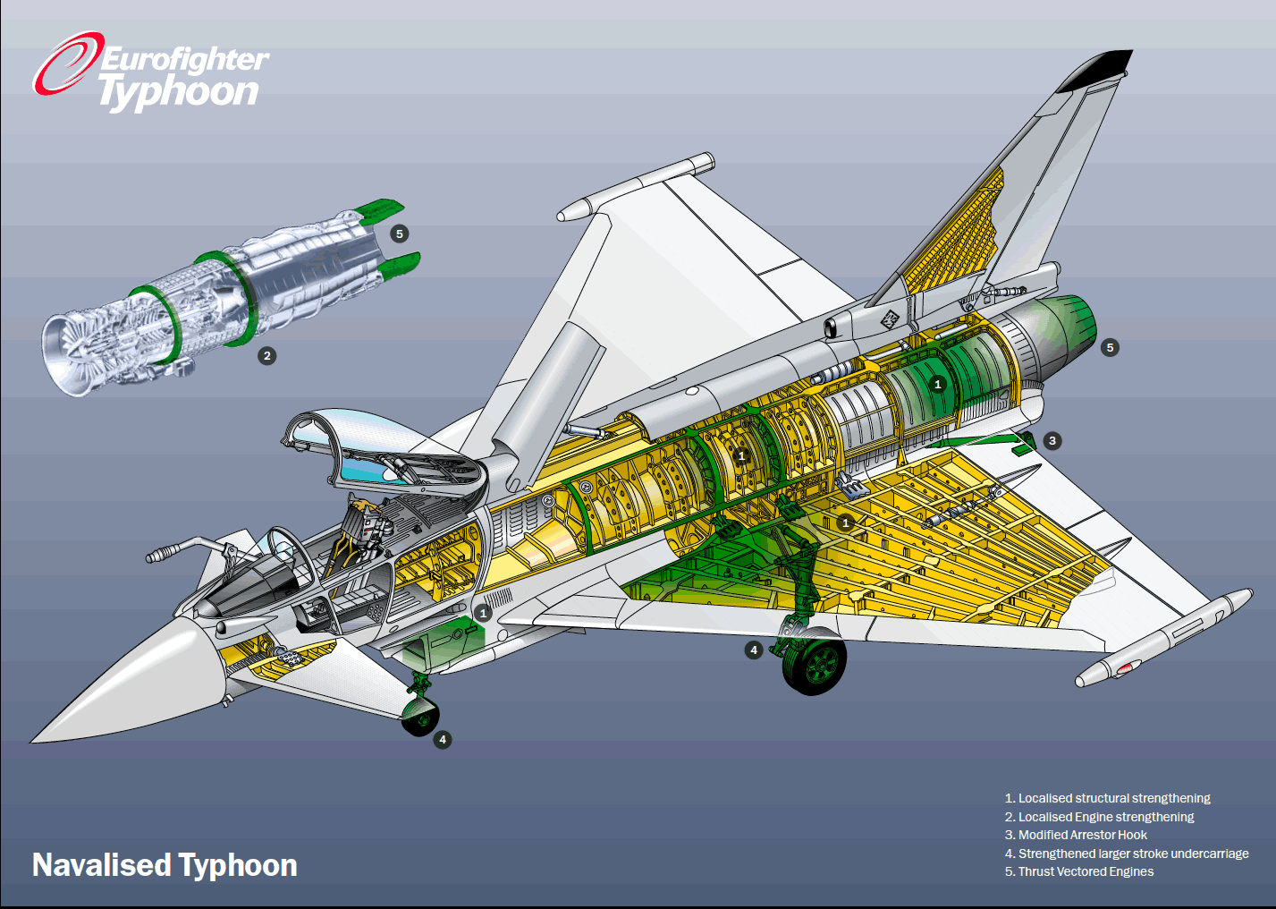 AIR_Eurofighter_Naval_Cutaway_New_lg.gif