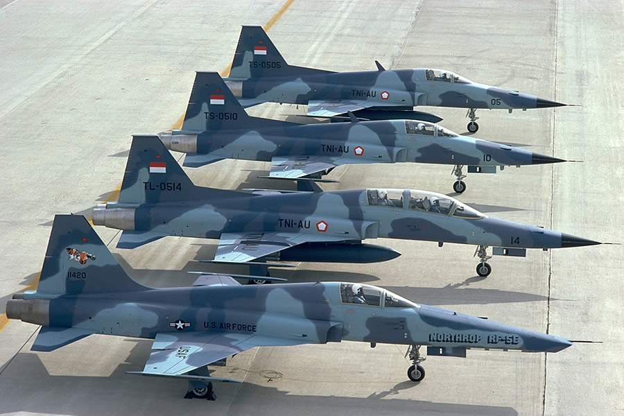 AIR_F-5E-F_Indonesian_RF-5E_USAF_NGC_lg.jpg