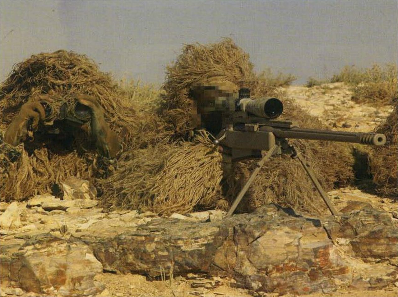 8DbojJ2IrMo.jpg