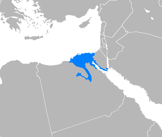 arz.wikipedia.org