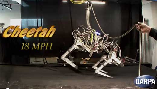 darpa-cheetah-robot.jpg