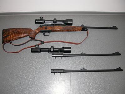 49874.jpg