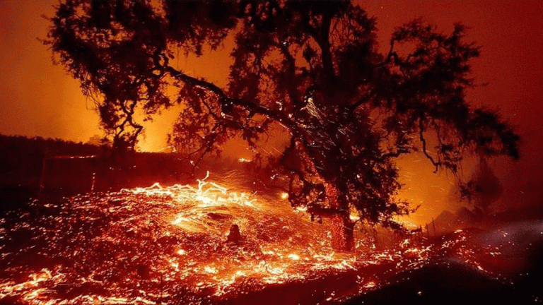 إجلاء نحو 50 ألف شخص جرّاء الحرائق في كاليفورنيا