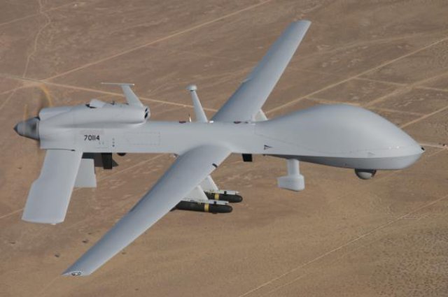 Gray_Eagle.jpg