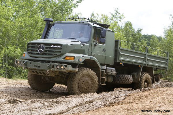 zetros_1833.jpg