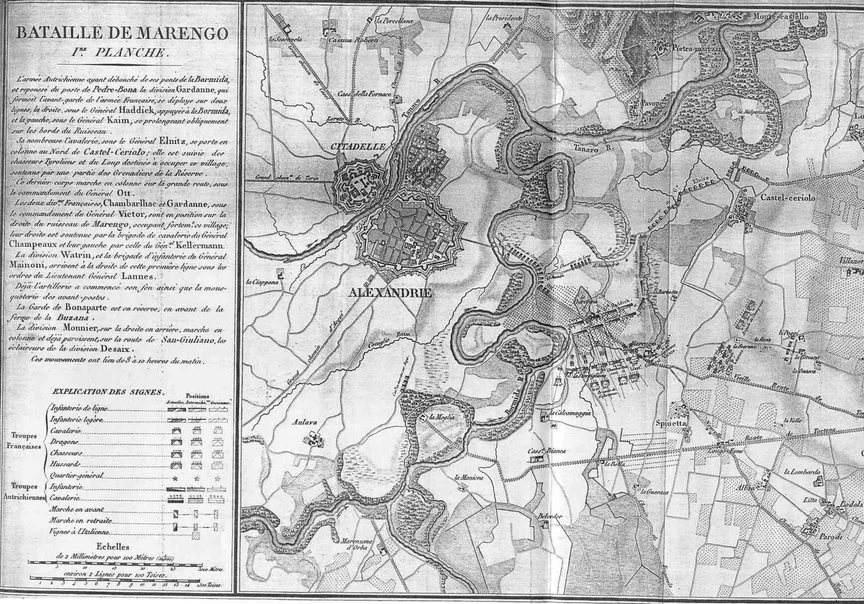 marengo1.jpg