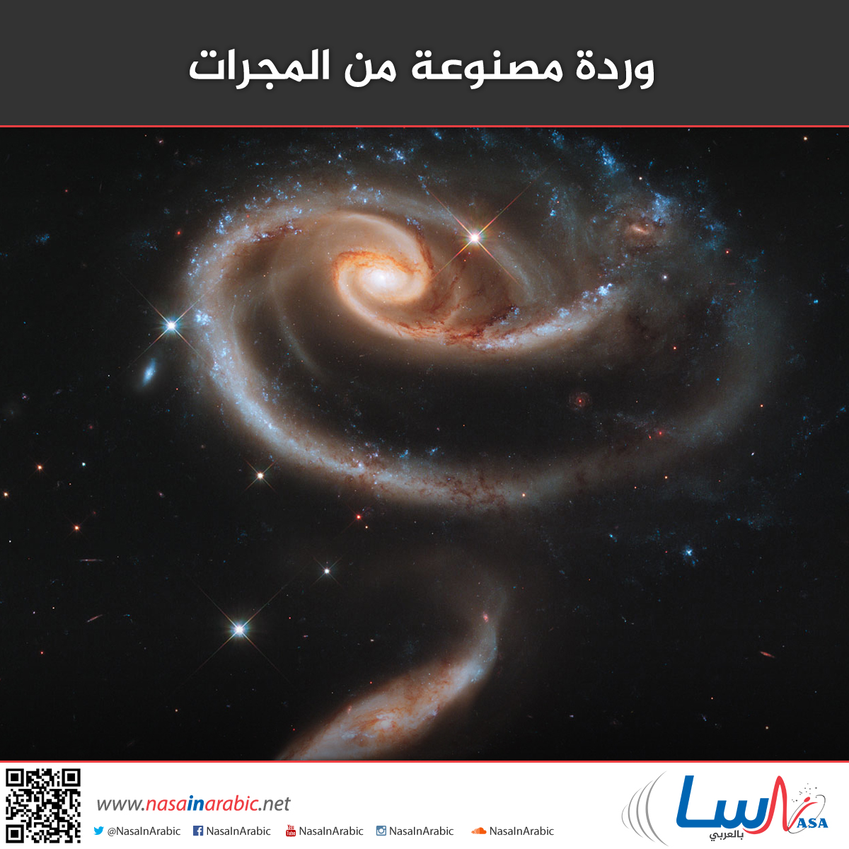2e93ee5f7a772f5bdb12f45cfbe185c0.jpg