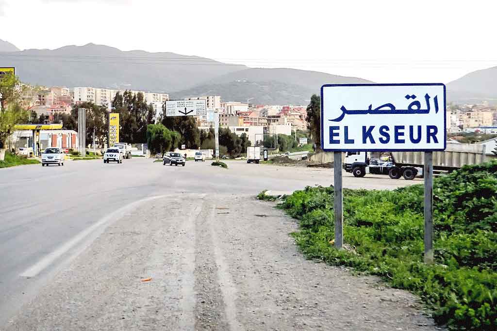 elwatan-dz.com