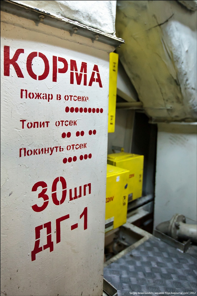 caesarkunikov001-50.jpg