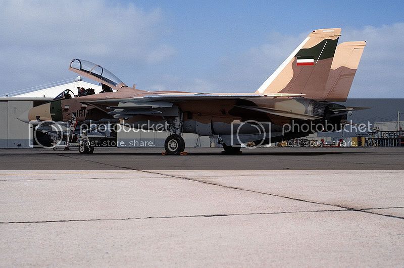 800px-Tomcat-IR-3.jpg