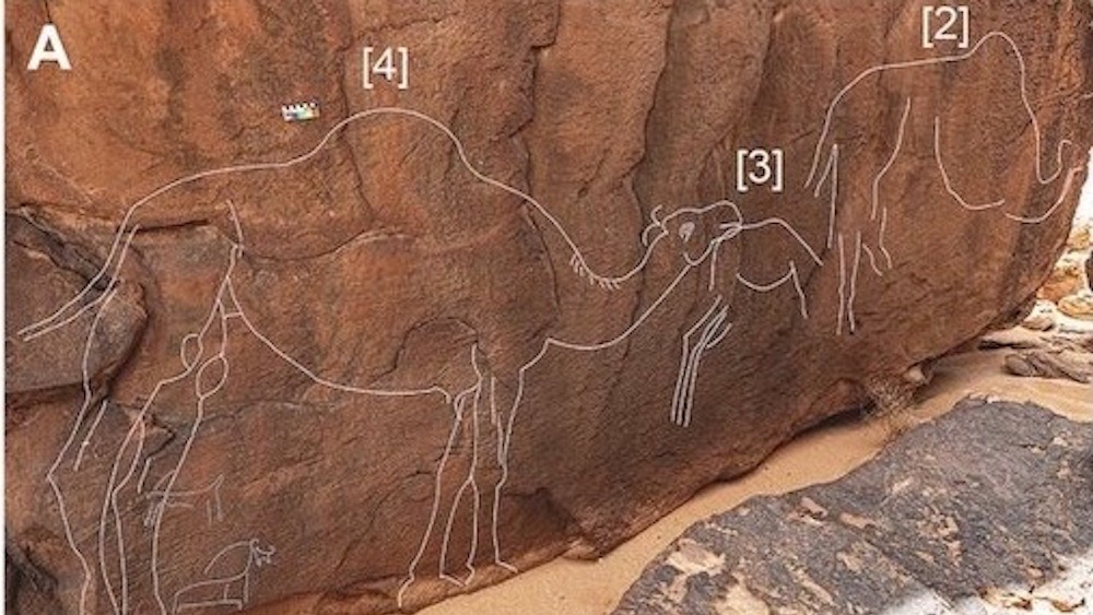 www.livescience.com