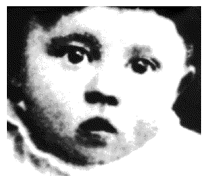 hitler300x263.gif