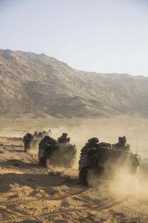 300x450_q75.jpg