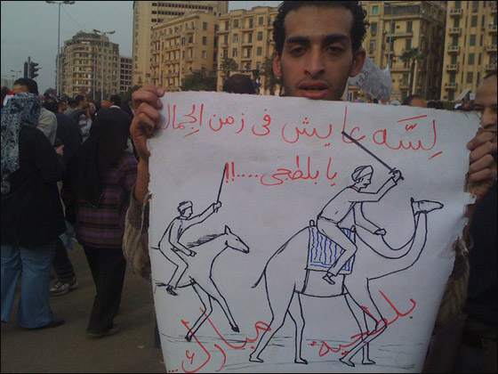 funny_pic_egypt_85.jpg